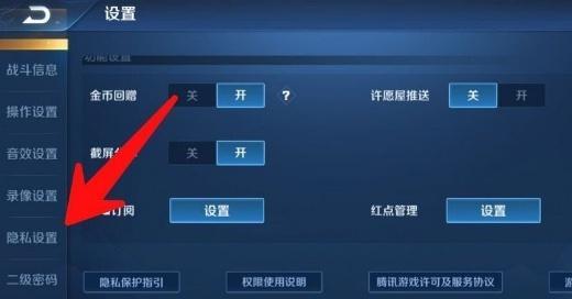 王者荣耀皮肤隐私设置如何关闭？操作步骤是什么？