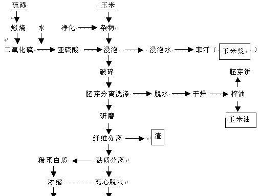 问道中人物转生的具体流程是什么？